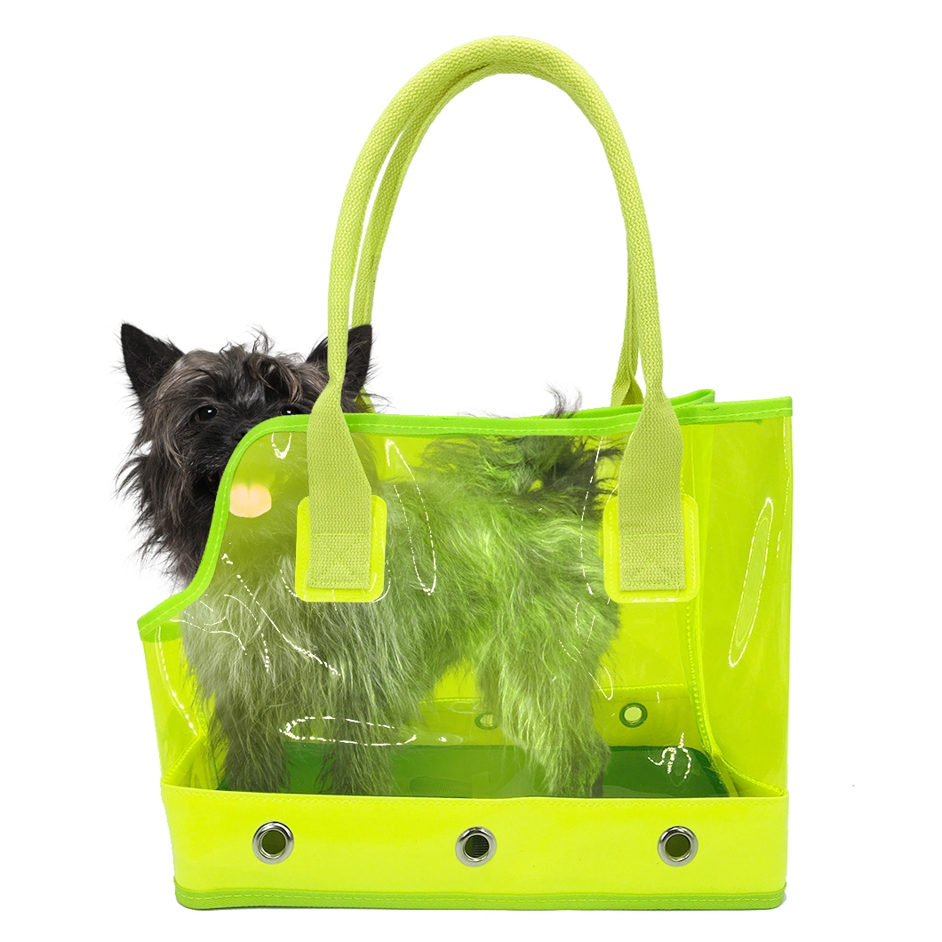 Fluorescence Colorful PVC Transparent Outdoor Dog Cat Pet Products with High Quality